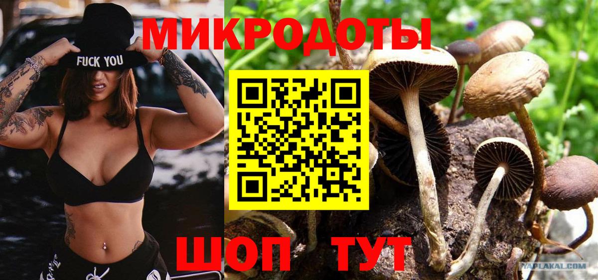 Псилоцибиновые грибы Cubensis  Вход с VPN  Тверь 